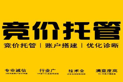 SEM服务托管：企业营销利器案例分析